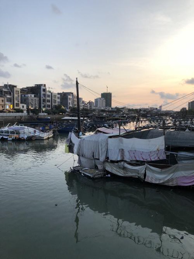 农垦宾馆：新时代下的一抹绿意